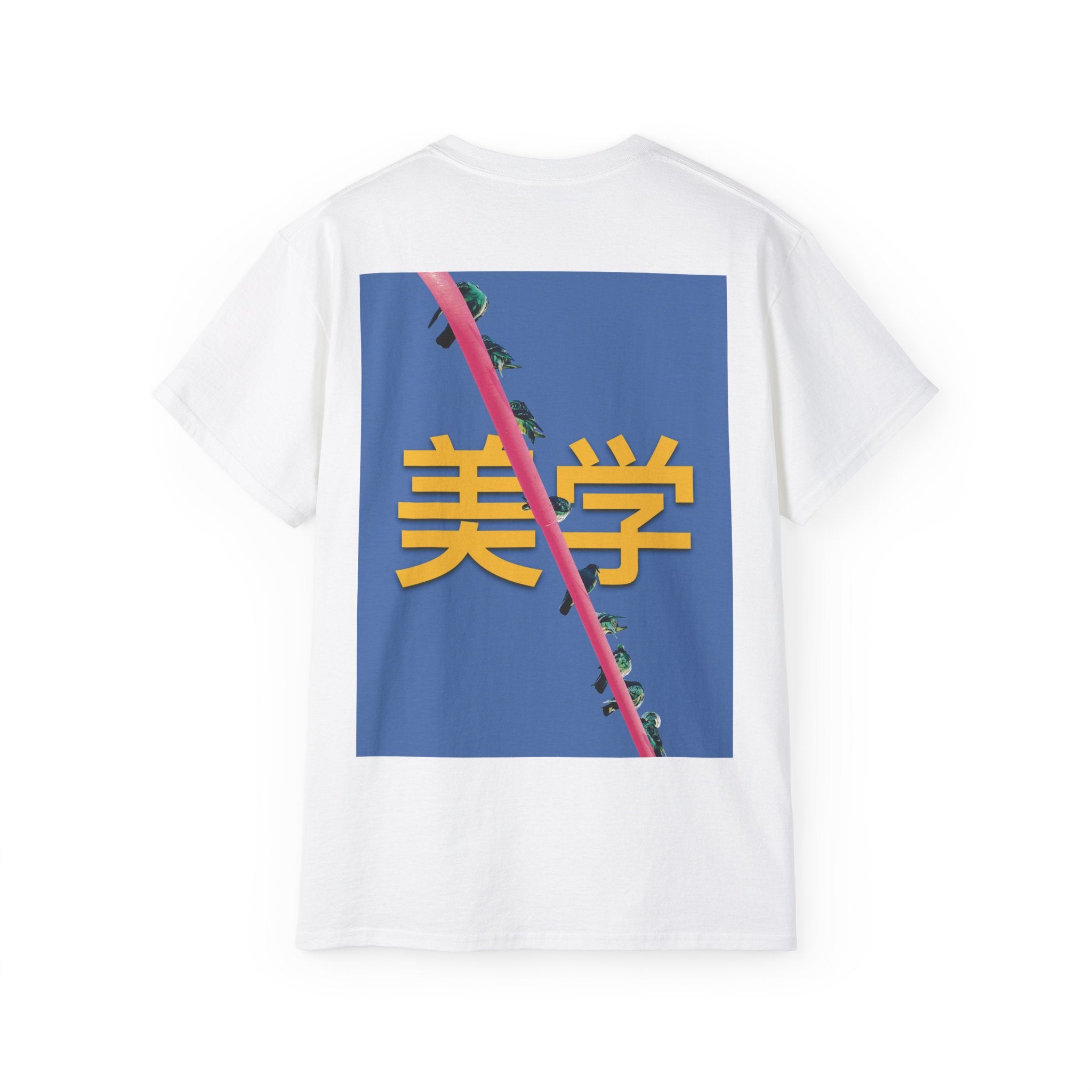 Aesthetics T-Shirt